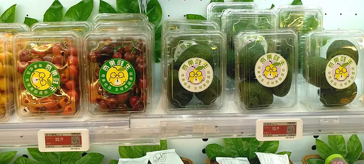 electronic shelf price tags
